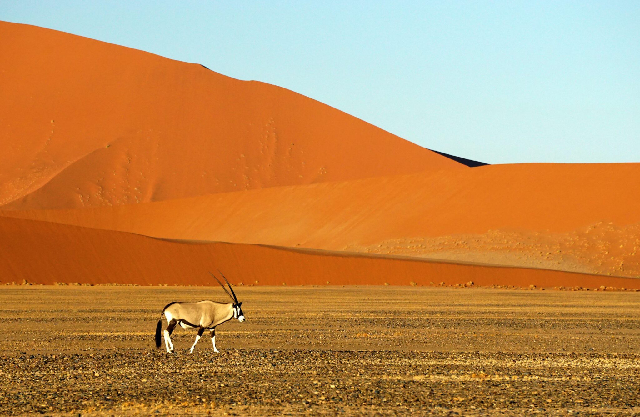 Namibia – Home of Extreme Landscapes